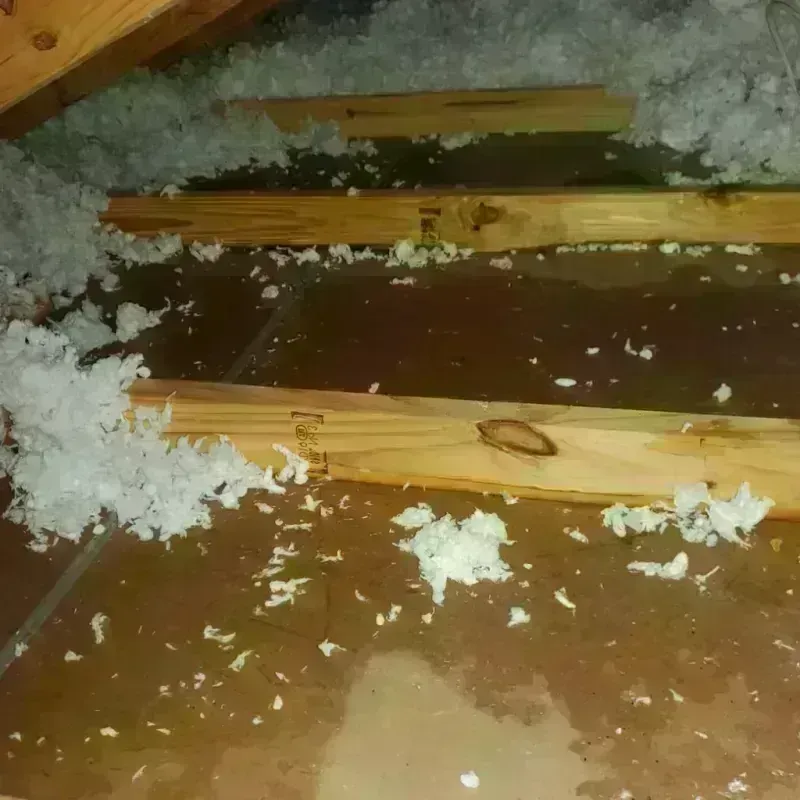 Attic Water Damage in Oxford, MI