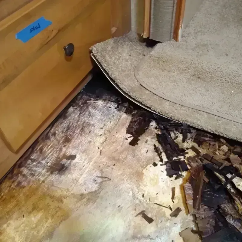 Wood Floor Water Damage in Oxford, MI